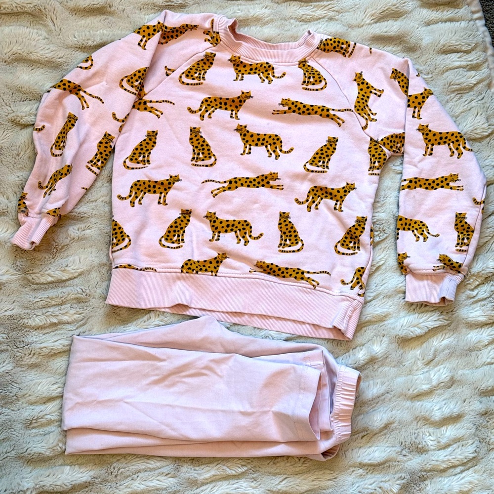 Hanna Andersson size 8 sweatshirt and leggings set 💕🐆